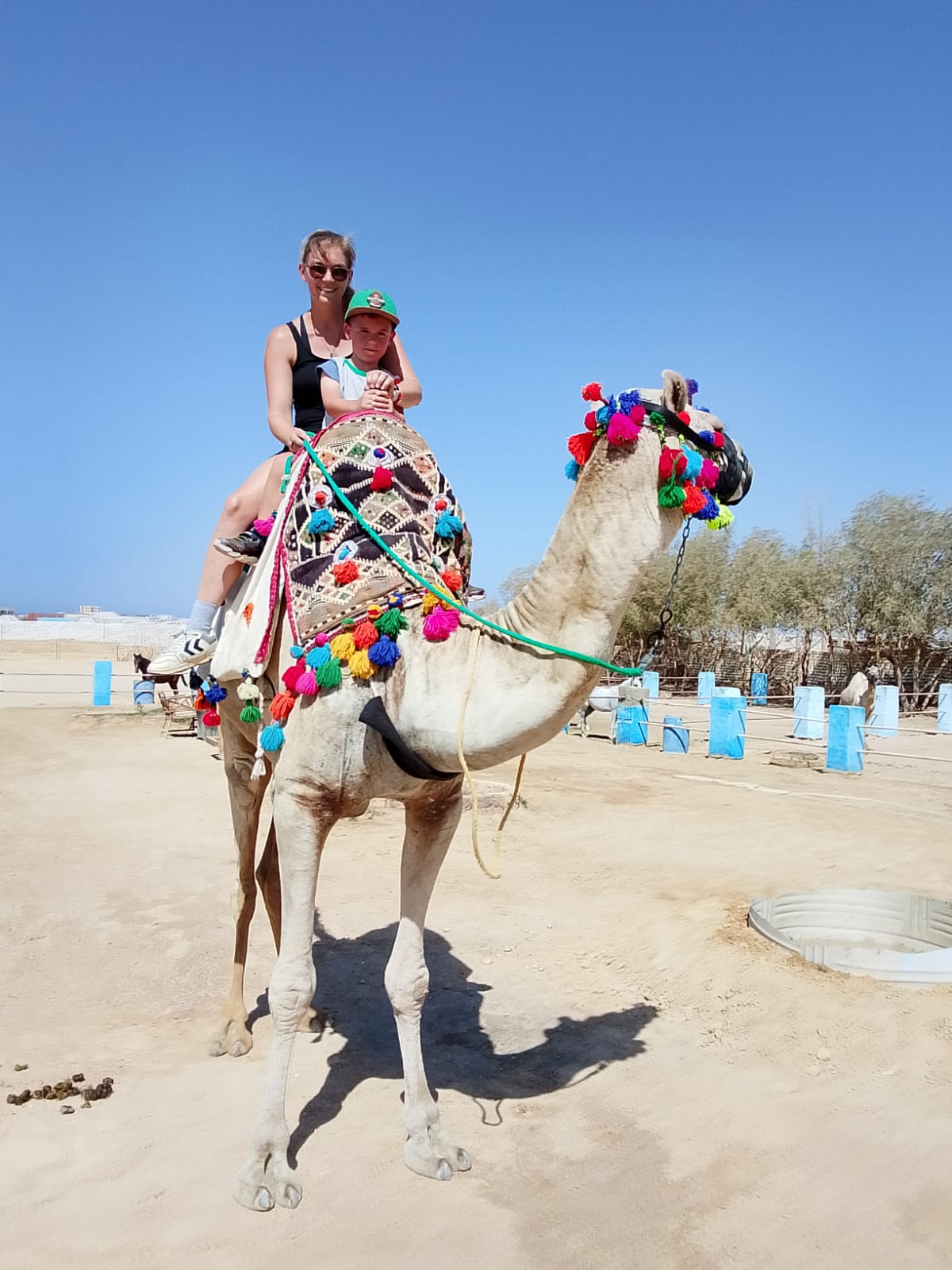 Camel Safaris