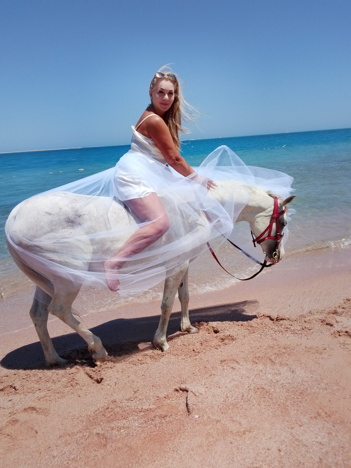 Rehana Horse moment 11
