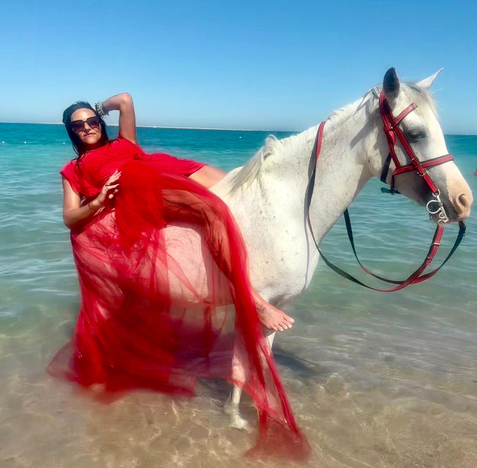 Rehana Horse moment 14