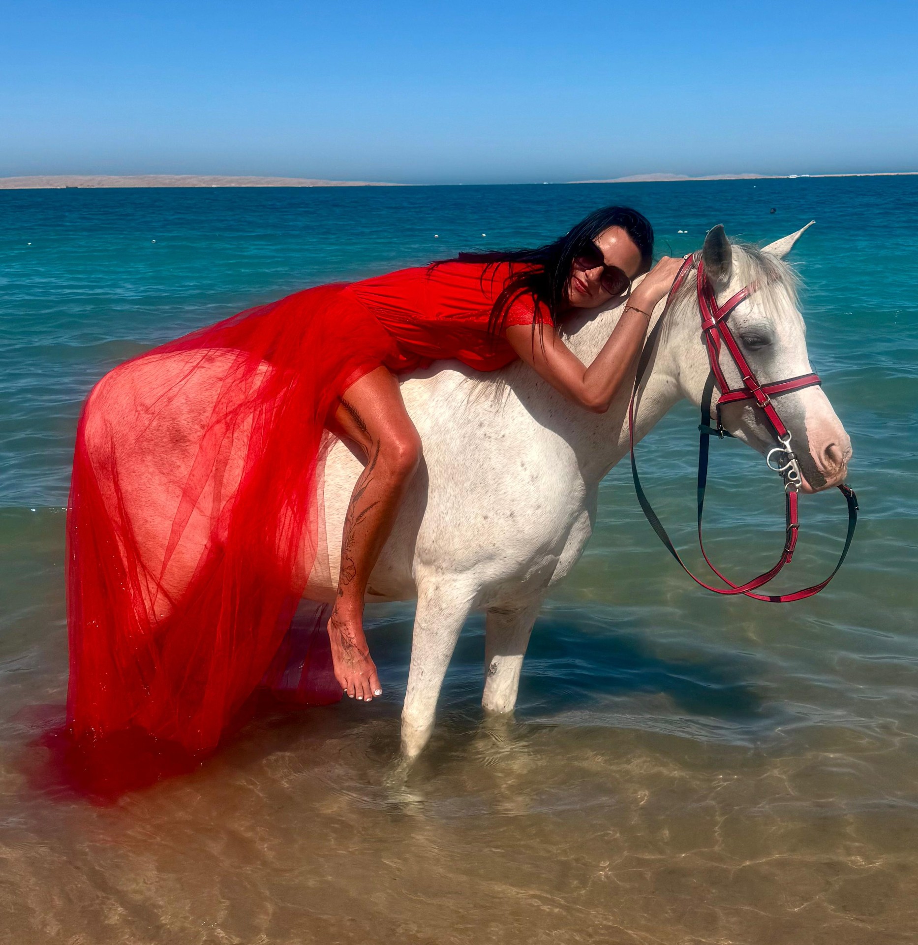 Rehana Horse moment 16